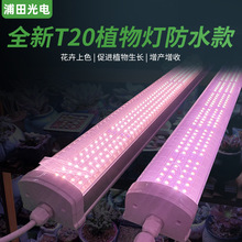 T20全光谱LED跨境植物生长灯防水四排多肉上色uv花卉育苗补光灯管