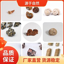��Ȼ��ʯ�����ھ����ä�й����ﺣ���ֲ�ﻯʯ���X����ԭʯ���l