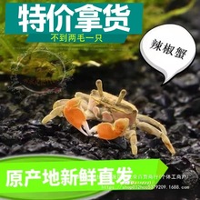 ����зС�зС�~�ݔ[��؛����з��������з�^�p�~��܊з��������