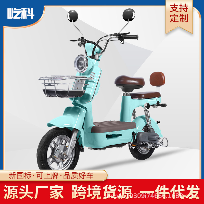 Nueva bicicleta eléctrica moderna para el comercio exterior, bicicletas eléctricas de batería para adultos, moda para dos personas, bicicletas eléctricas de dos ruedas de 48V