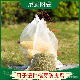 新款尼龙网袋种袋浸种袋火龙果葡萄水果套袋果树防虫防鸟网袋批发
