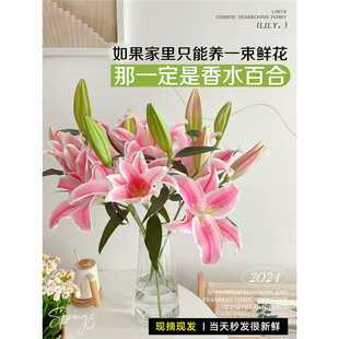 ��ˮ�ٺ��r����ϻ���ֱ�lˮ����^�r�л������廨��ƿ���ذ껨��