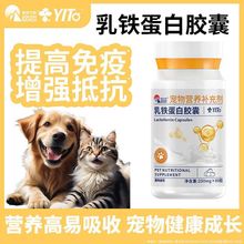 乳铁蛋白猫咪狗狗提高狗狗增强抵抗力免疫球抗病毒补充营养