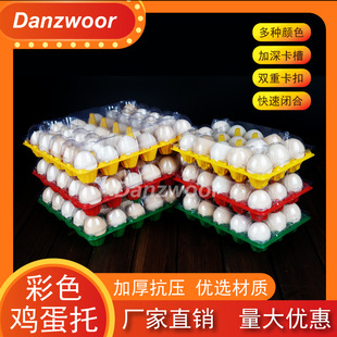 һ���������u����15ö30ö��̖��̖���S͸�����w���x�u�����b��