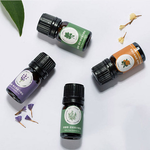 Plant Essential Oil Unilateral Lavender Mint Australian Tea Tree Aromatherapy Lamp Stove Machine Humidifier Diffuser Wood Car Incense