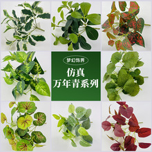 ���W�L�����f����ϵ�оGֲ�b�֦�Gֲ�͏d�b���ؔ[�����辰