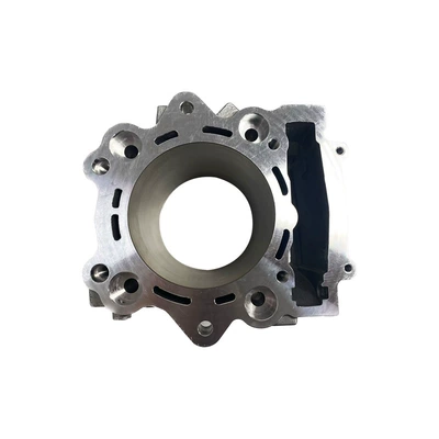 Yamaha Raptor 700 – Cylinder and parts