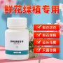 花期延长保鲜剂二氧化氯花卉