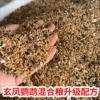 1001g two kilograms of nutritional mixed grain