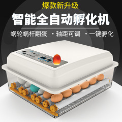 家庭用孵化器ひよこ孵化器小型家庭用孵化機全自動知能鶏鴨ガチョウ鳩孵化機