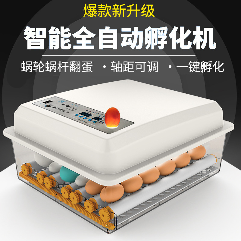 家庭用孵化器ひよこ孵化器小型家庭用孵化機全自動知能鶏鴨ガチョウ鳩孵化機|undefined
