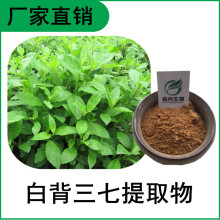 白背三七提取物 白子菜浓缩粉 比例提取 喷雾干燥 植物提取原料粉