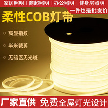 led灯带户外防水露营室外七彩院子2835高压下室高亮cob柔性灯条