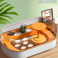 可孵化乌龟蛋乌龟孵化箱仓套装活物适合养的易存活儿童家养小宠物