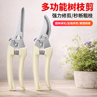 ��֦�����@ˇ������֦����֦�����@�֏����޻�֦����ʡ����������