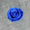 Королевский синий