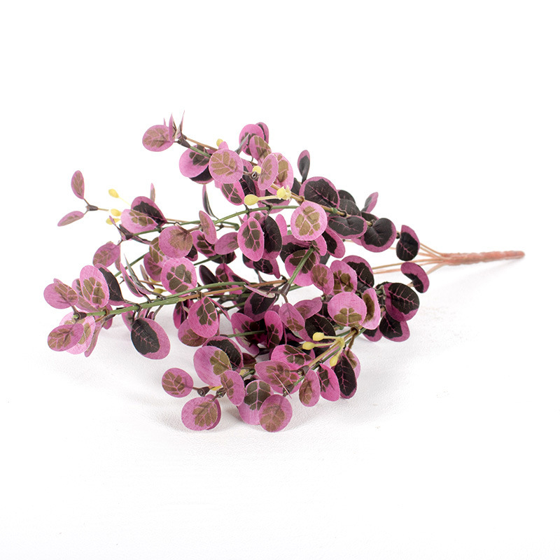 Tortuga roja de 7 cabezas