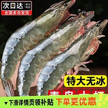 ���r�r�������r�ش����r������u�r���r�ك����r�r��rˮ�a