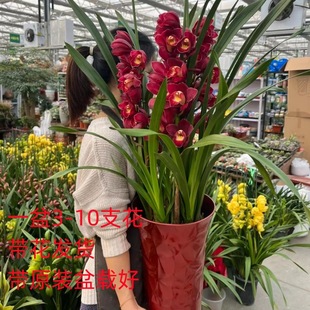 �m����ޥ�m������ԭ������k���҃ȾGֲͥԺ�҃����⻢�^�m���m