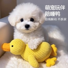 ��˯�������ë��С��Ѽ������ҧ���Ʒ�������С��Ȯ��������ĥ��