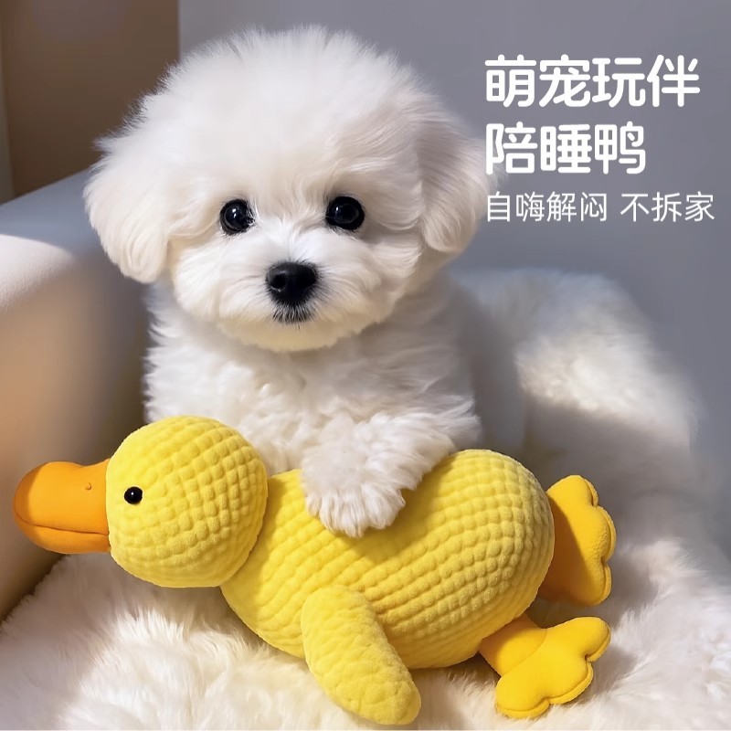 狗狗玩具毛绒小黄鸭宠物耐咬解闷发声小型犬比熊自嗨磨牙节日礼物|undefined