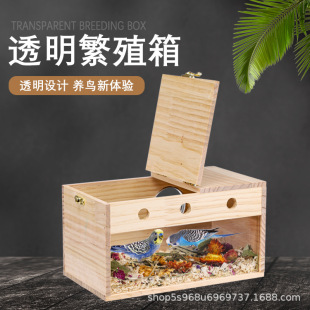͸���W�^��ֳ�����P��Ƥĵ�����B���Ʒ�Ȓ����B�C�B���B������