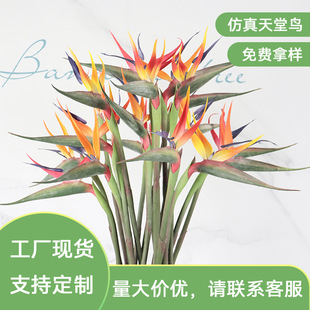 �����B��Ʒ�|�ָз��滨�Ҿ��bӰ��g�[���zӰ�������ϼٻ����l