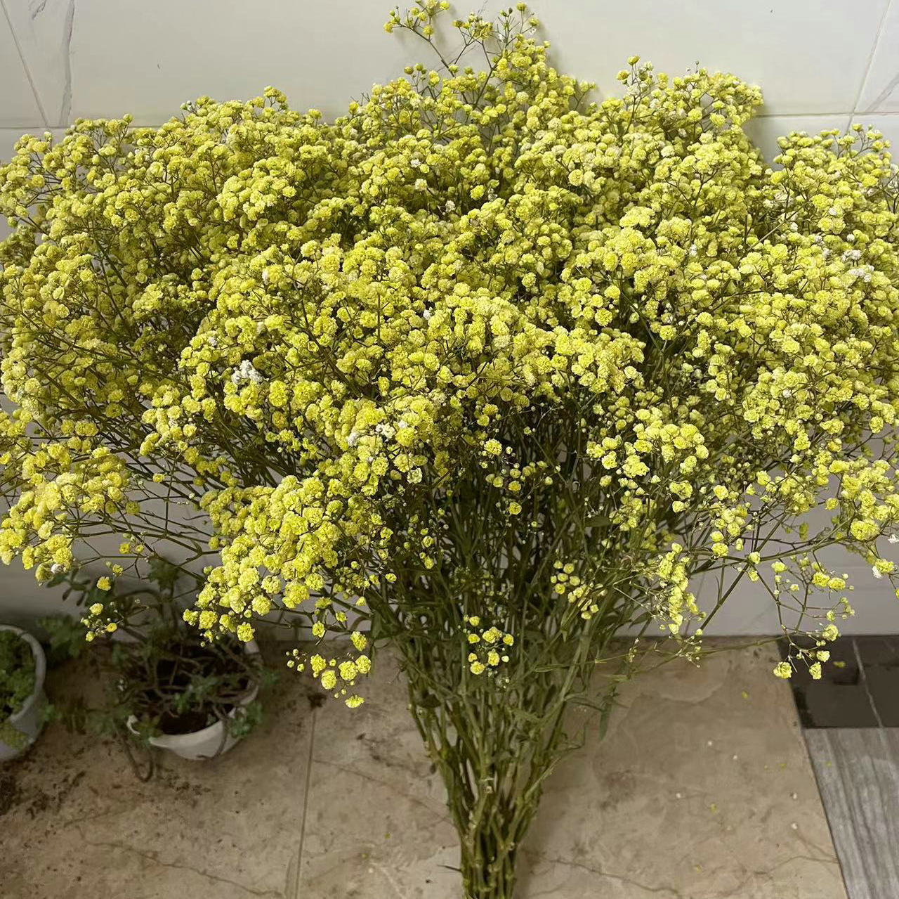 微信图片_202306160907391_副本