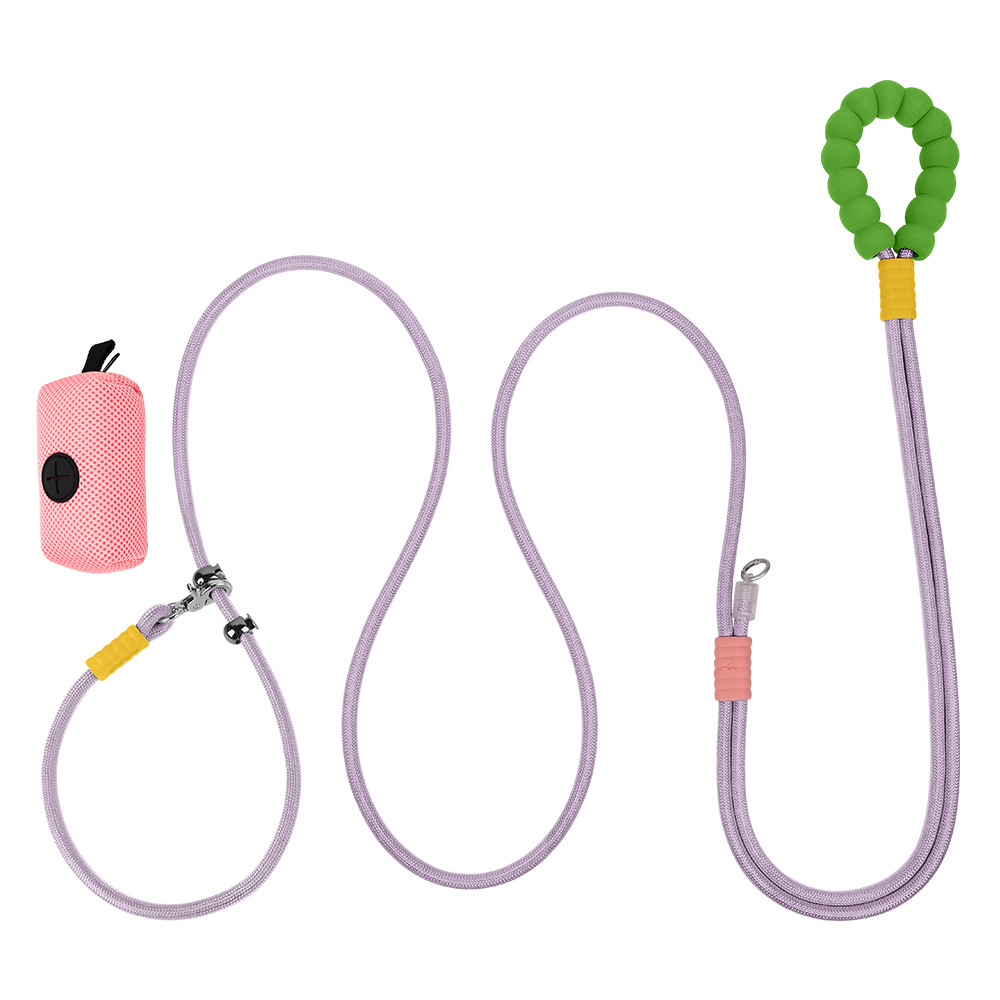 보라색 컬러풀 + 강아지 가방