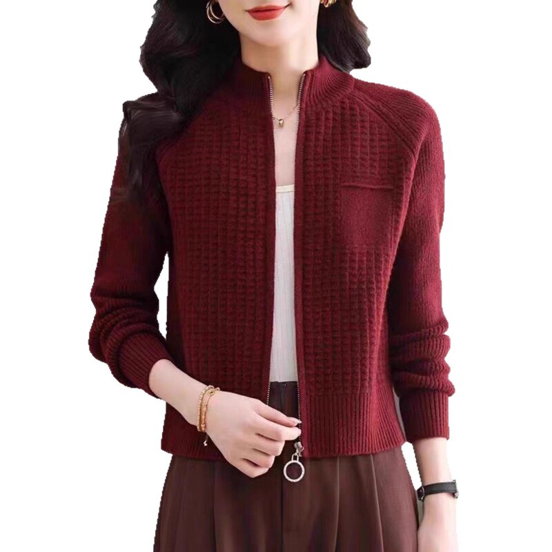 针织开衫女2025春秋新款小个子立领拉链上衣宽松洋气短款毛衣外套|undefined