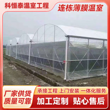 连栋薄膜温室暖棚大棚草莓育苗外遮阳薄膜保温连栋温室大棚骨架