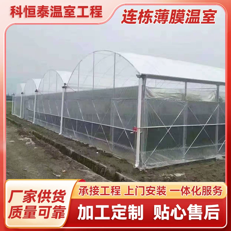 Теплица с пленкой в теплице