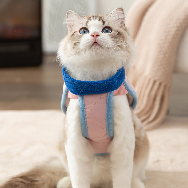 Primavera y otoño gato estilo coreano estilo casual chaleco acolchado chaleco ropa acolchada de algodón mediano y pequeño perro mascota ropa de peluche
