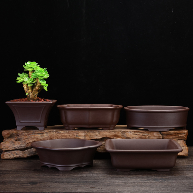 Yixing Orchid and Fleshy Purple Sand Flower Pot Small Square Rectangular Desktop Bonsai Pot Household Old Pile asparagus Wholesale
