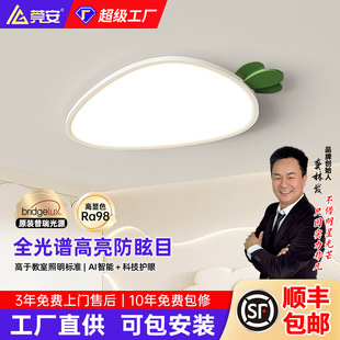 Full Spectrum Eye Protection Ceiling Lamp High Cri Children's Radish Bedroom Lamp Zhongshan Home Decoration Lighting Zhongshan Lamps