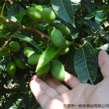 �ꮔ�����r�ϙ츣���خa���ϙ������Ҝ�̴���ϙ�ˮ�����]