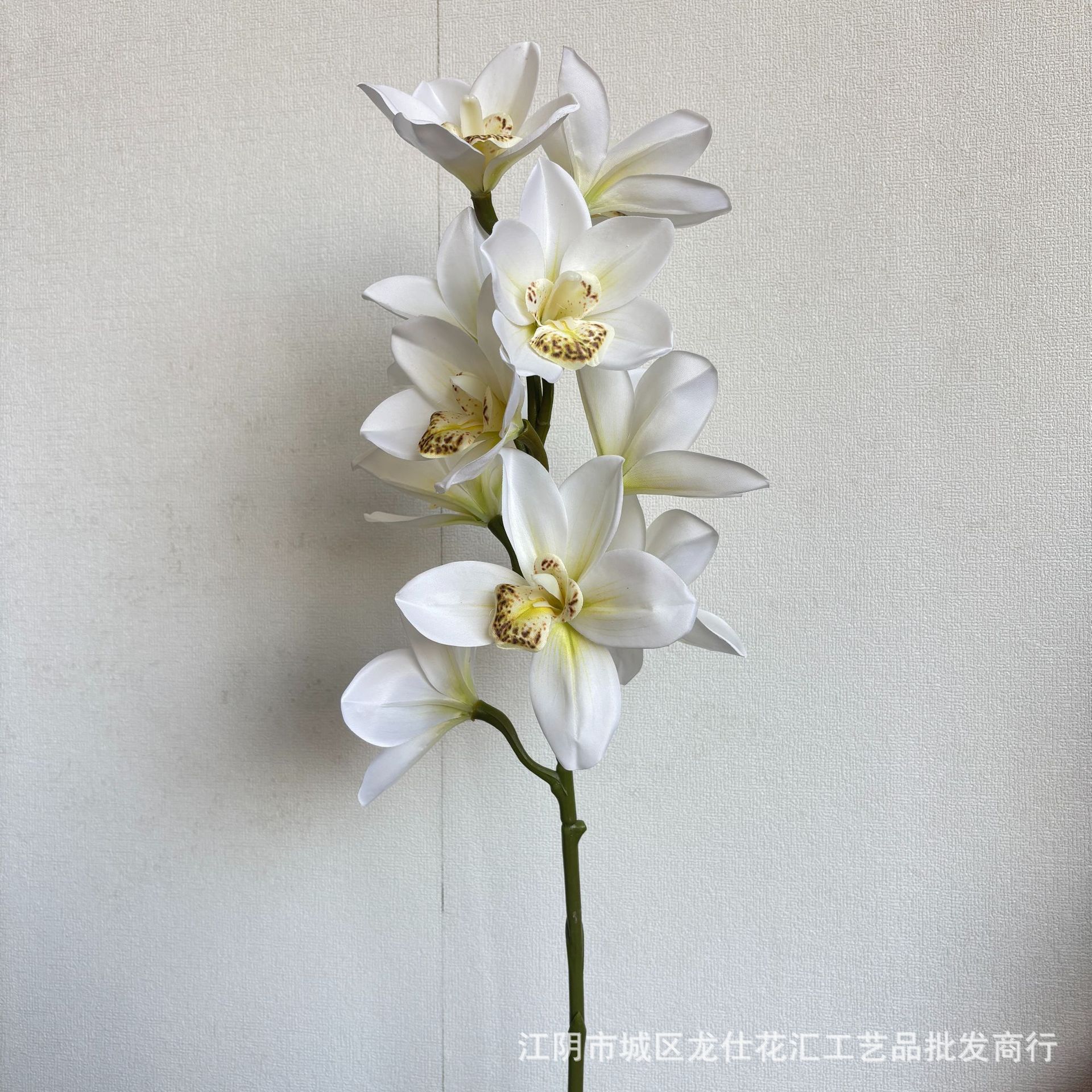 촉감 좋은 큰 꽃 호접란