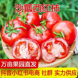 梨;苹果;其他水果