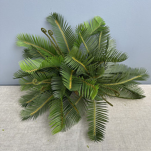 ����Gֲ�F�� ��֧�K�F����Ҭ�Ә��~�҃� �b����ؙ��~�羳�Gֲ