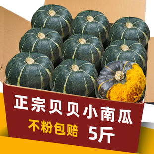 ؐؐ�Ϲ����ڷ�Ŵ���r����ζС�Ϲ������ձ��Ϲϋ냺�ЋD��Ŵ����