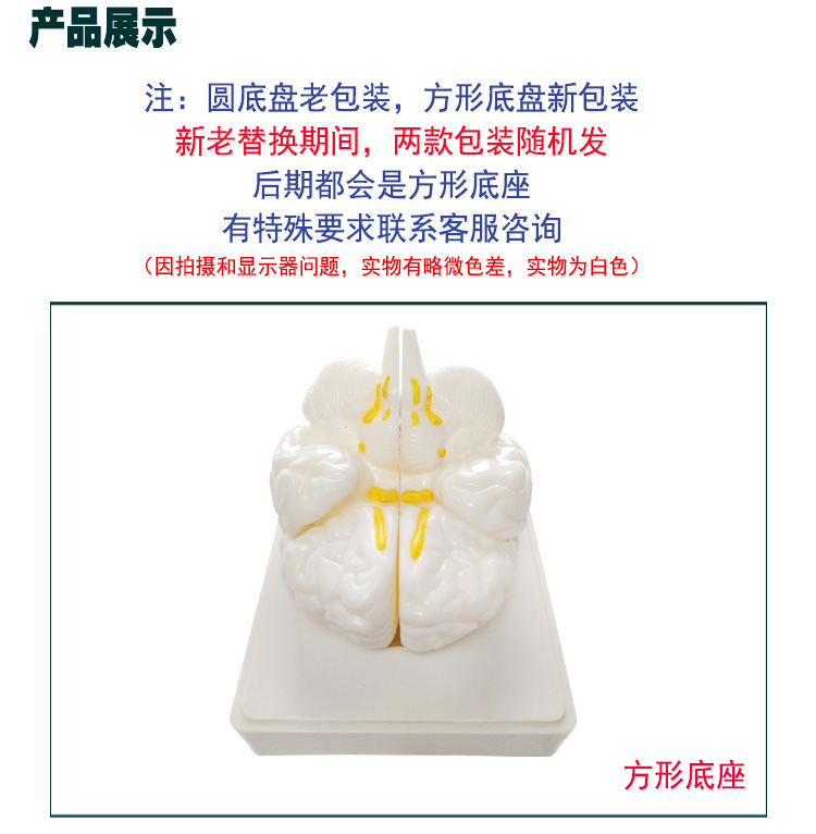 O1CN01BPjsTM2Kk6Xe1KX9w_!!3578