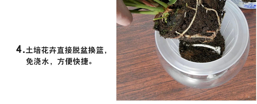 厂家现货 定植篮D园艺绿植固根器土水培大全尺寸款式规格齐全批