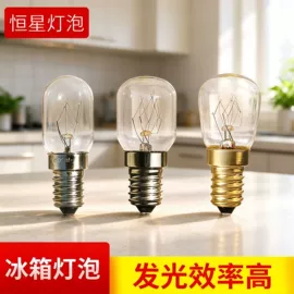 普通白炽灯;指示灯泡;其他白炽灯