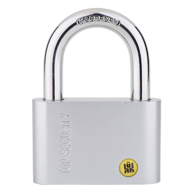 Трансграничные взрывы замок оптом большой закругленный угол замок общежитие кабинет Анти-кражи Замок Имитация замка из нержавеющей стали