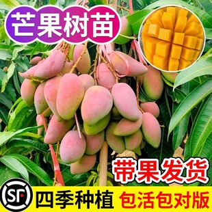 ��â�����޽ӽ�̈́P��â�F��â���䮔��Y���ļ�â��������ش�