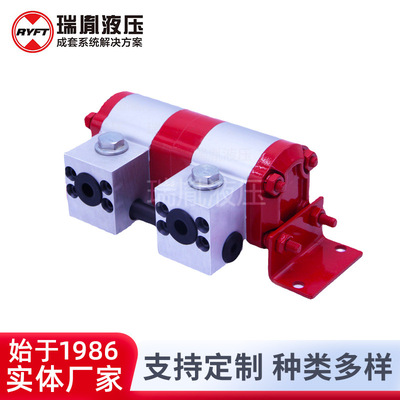 Manufacturers supply 1AFDF high-precision synchronization shunt motor Ruiyin Hydraulic