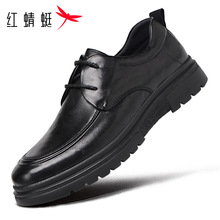 �t����ƤЬ�и߼�����Ƥ���b�̄�����2025�＾�¿�ͨ�ڹ����±�Ь