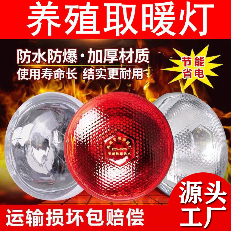 猪用保温灯养殖场专用小鸡取暖灯兽用烤灯仔猪育雏加热保暖灯泡