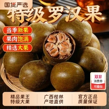 罗汉果干果中药材广西桂林精选罗汉果泡茶喝搭胖大海润嗓子养生茶