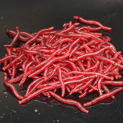 4cm Lure Artificial Worm Red Worm Simulation Maggot Soft Bait Lure 100 Pieces per Pack